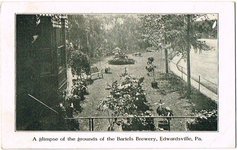 A Glimpse of the Grounds