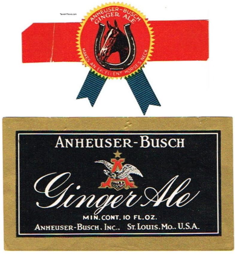 Anheuser-Busch Ginger Ale