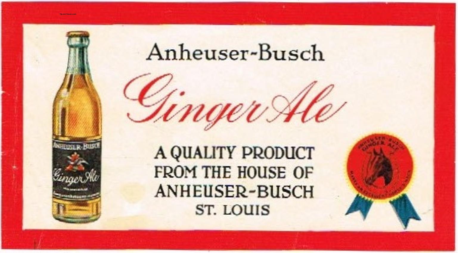 Anheuser-Busch Ginger Ale Back