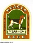 Beagle Beer