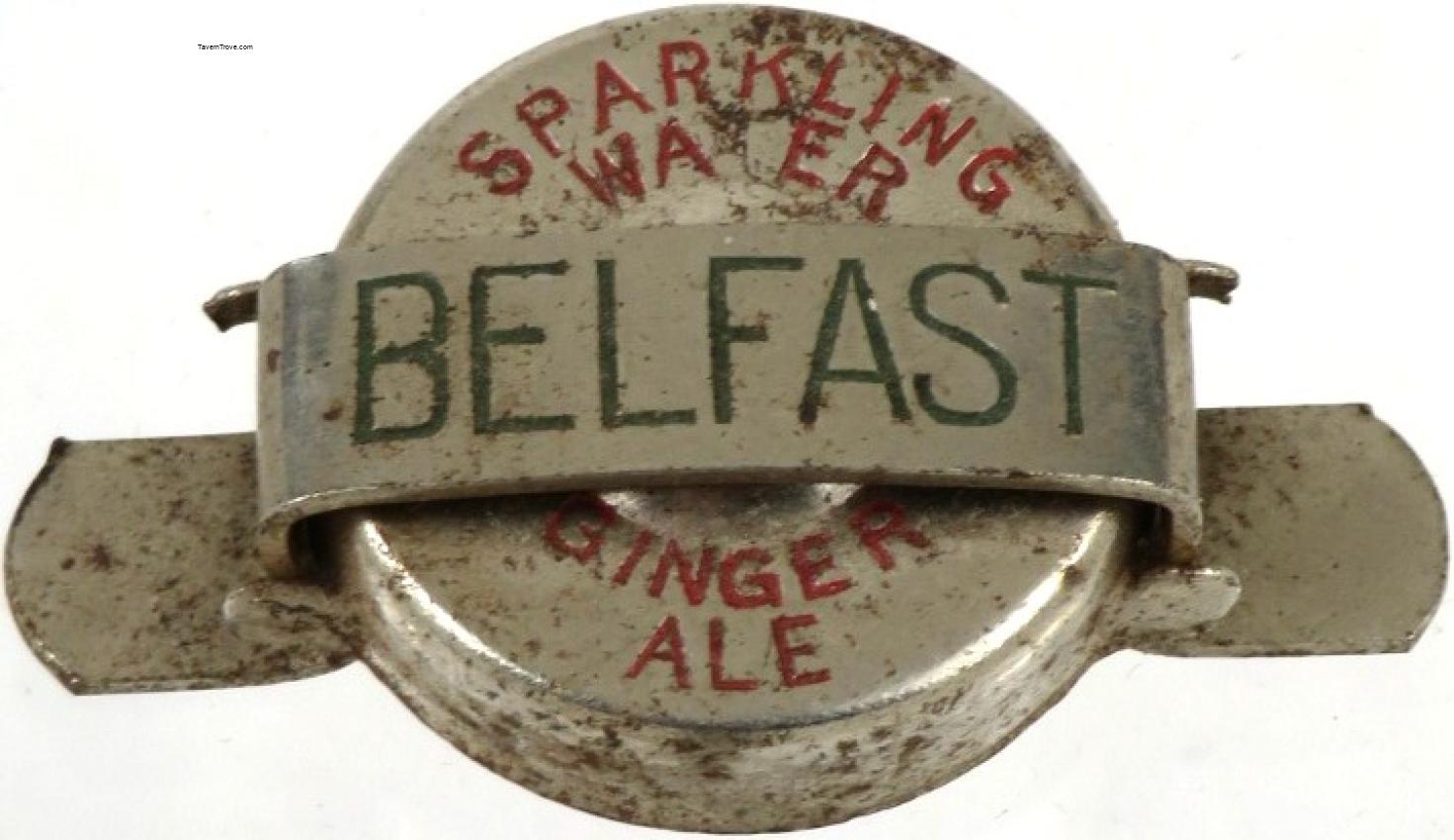 Belfast Ginger Ale Sparkling Water Resealer
