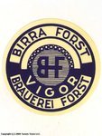 Birra Forst Vigor