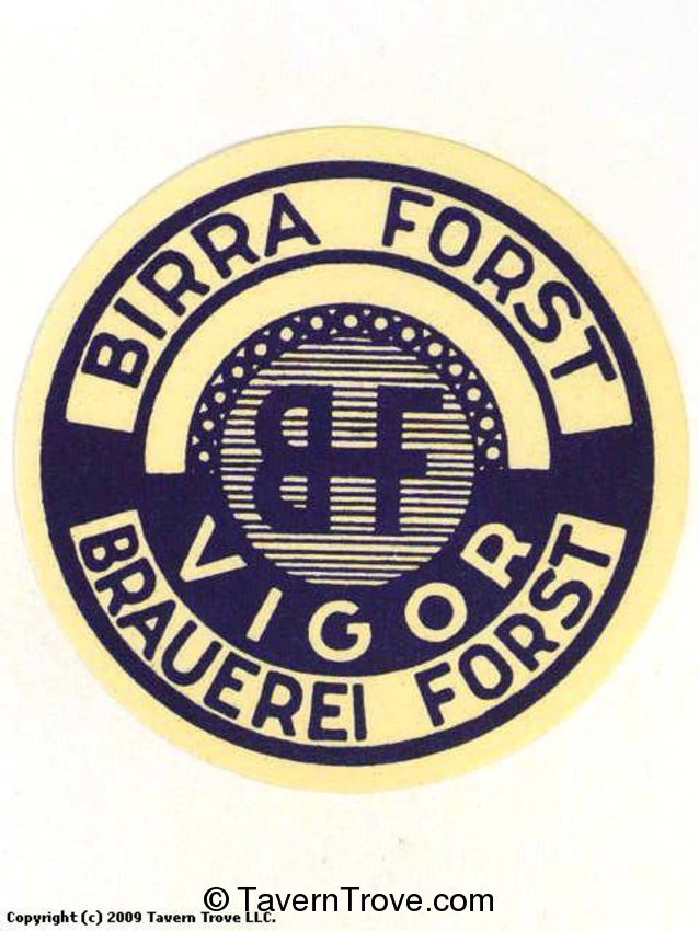 Birra Forst Vigor