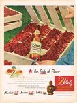 Blatz Beer