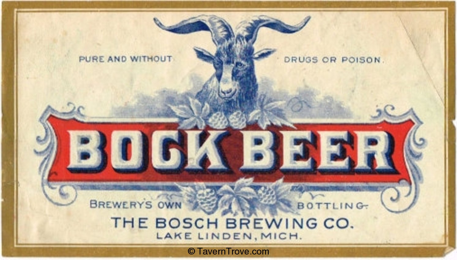 Bock Beer   