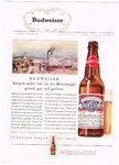 Budweiser (beverage)