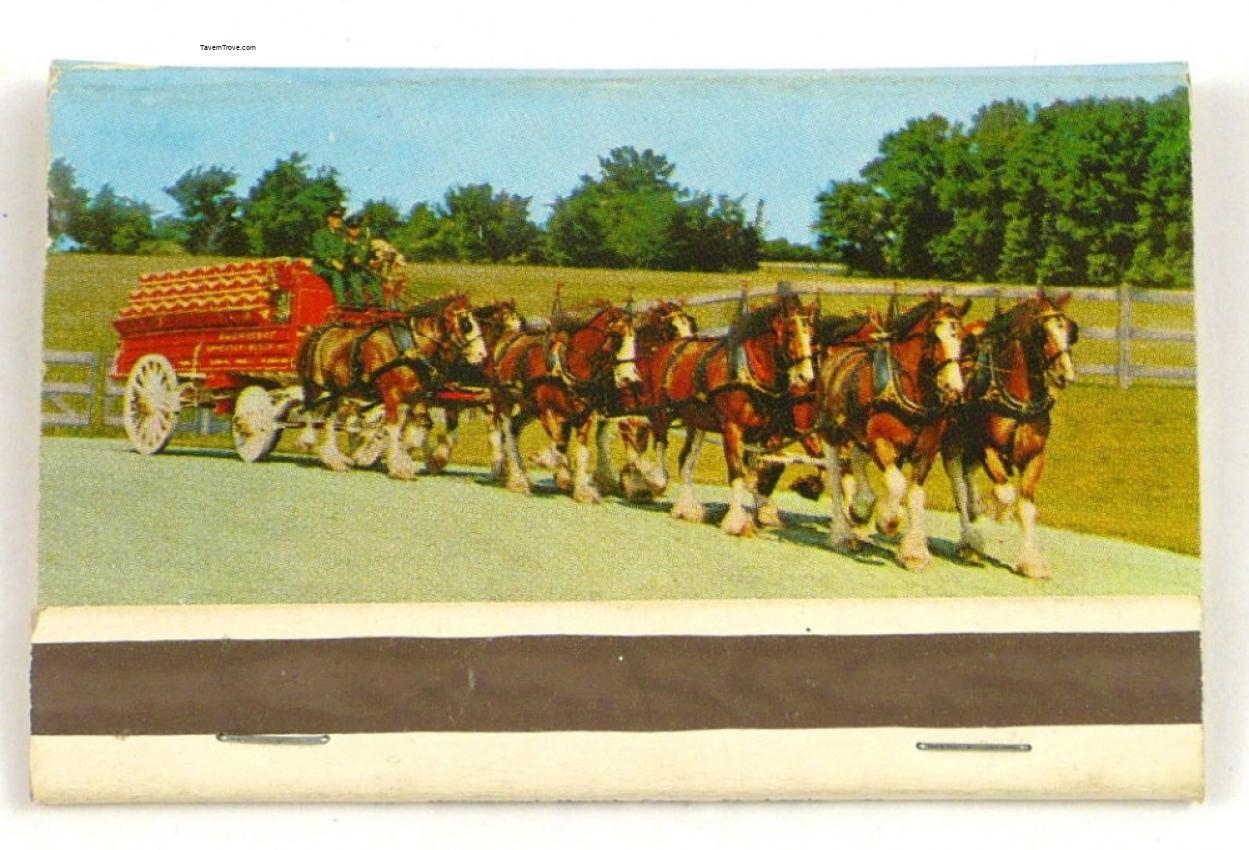 Budweiser 8 Horse Hitch