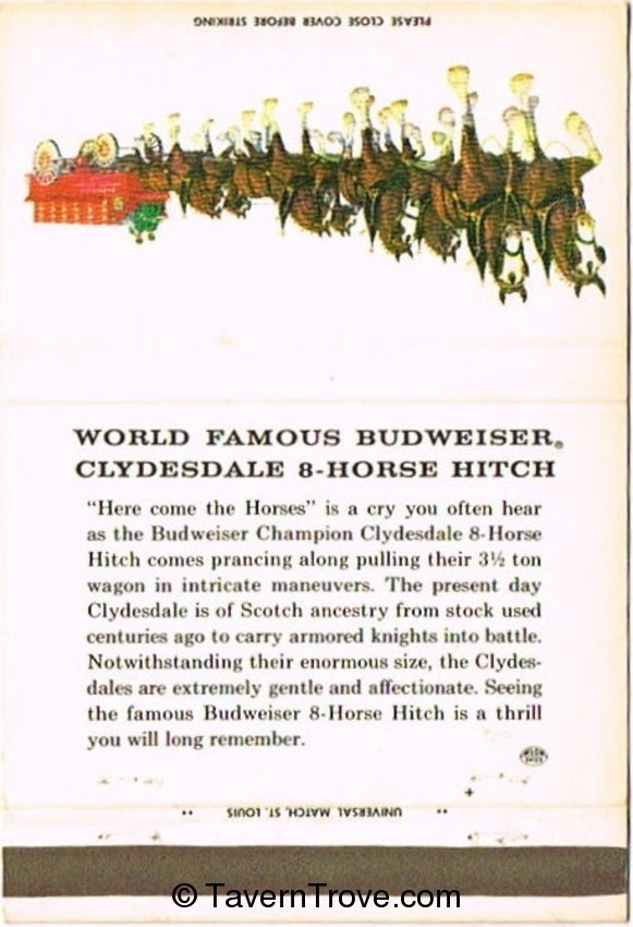 Budweiser 8 Horse Hitch