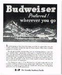 Budweiser Beer