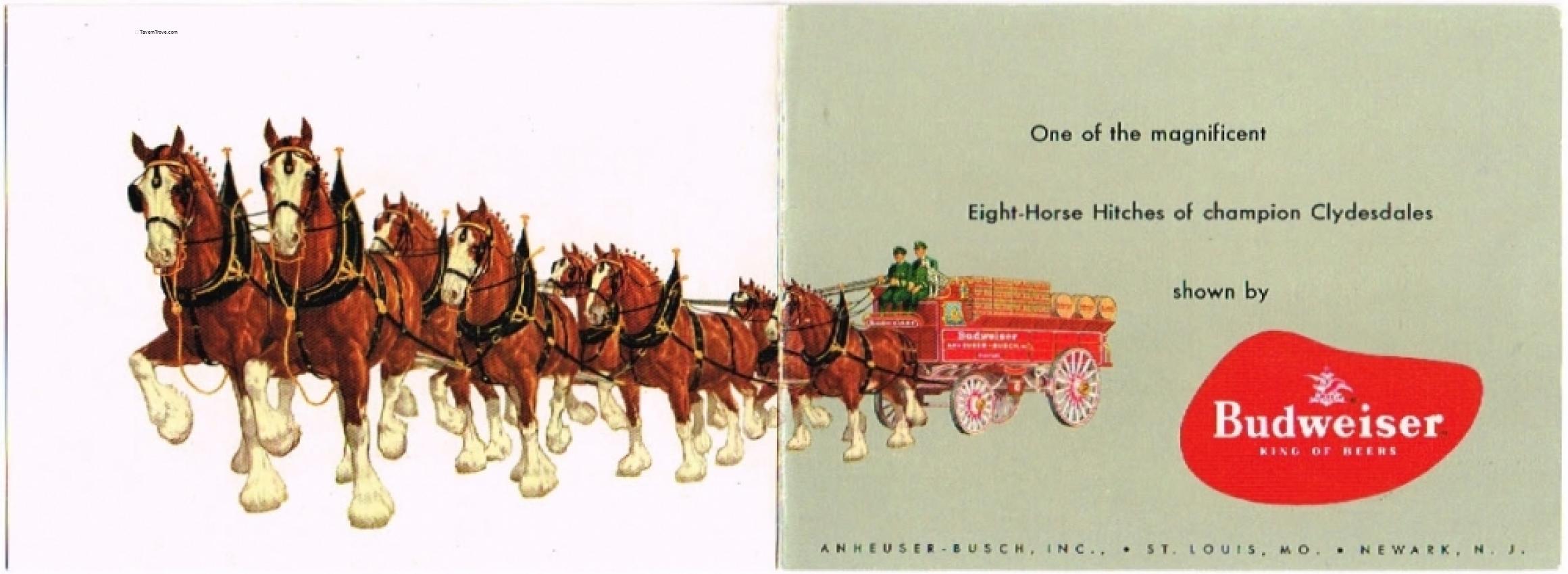 Budweiser Clydesdales (long)