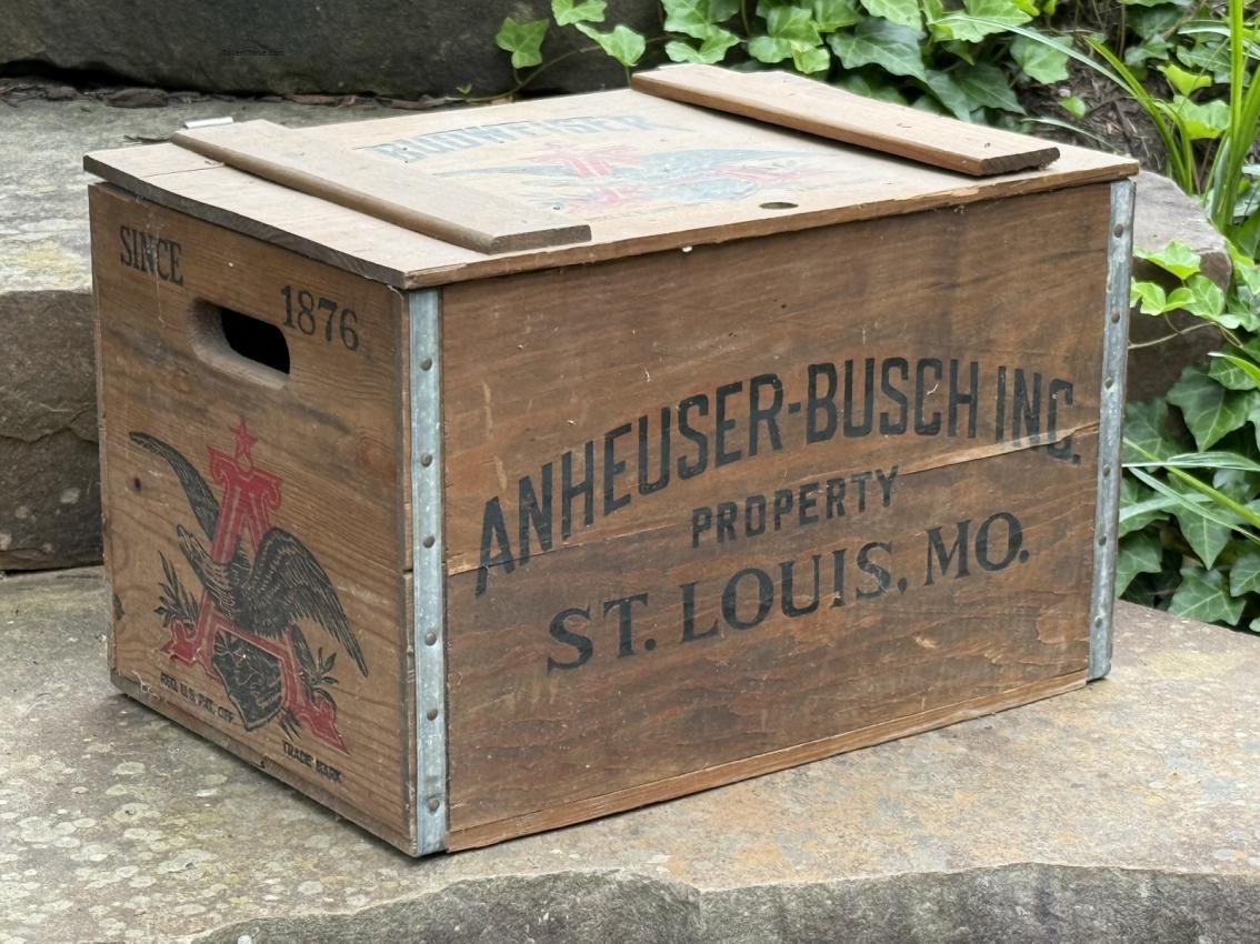 Budweiser Beer