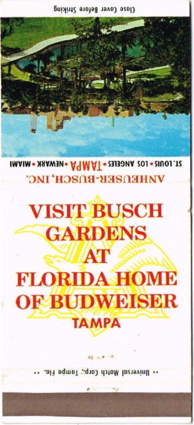 Budweiser Beer 