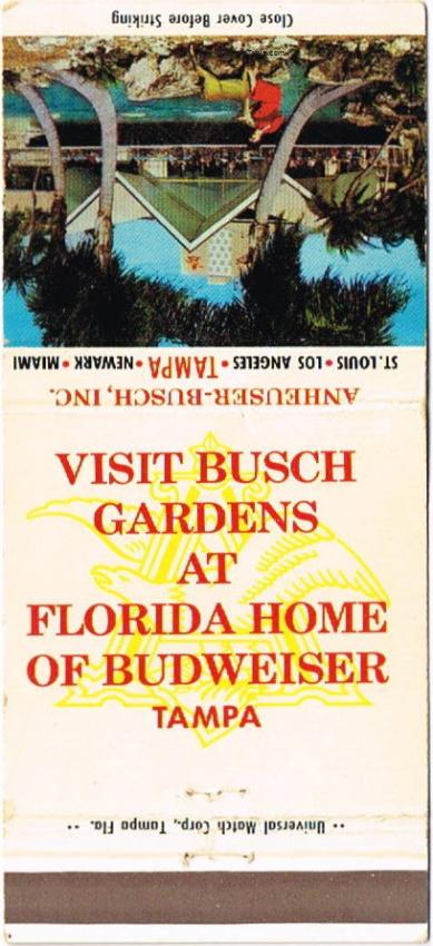 Budweiser Beer 