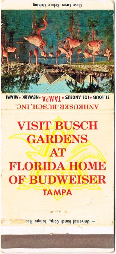 Budweiser Beer 