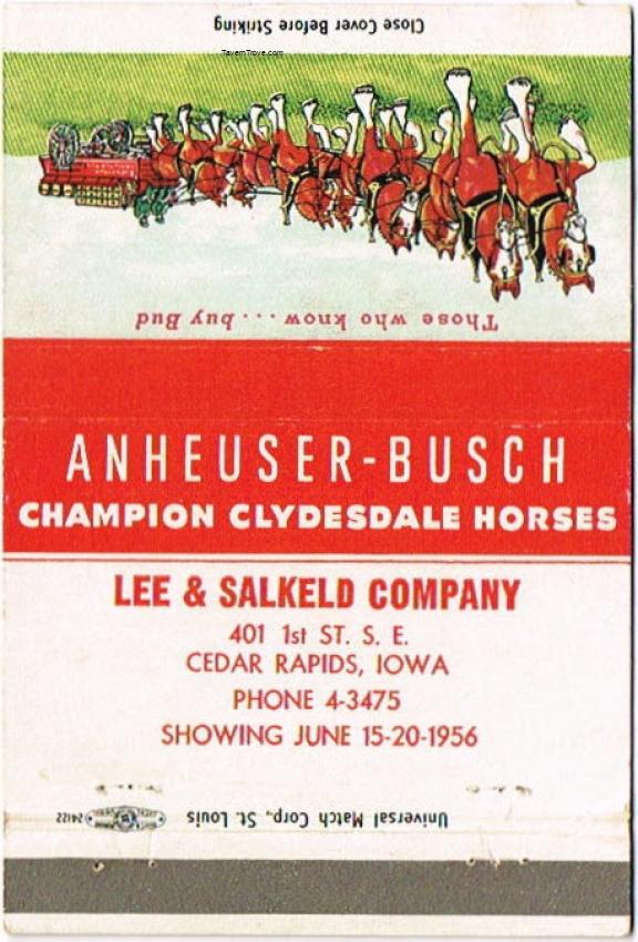 Budweiser Champion Clydesdale Horses