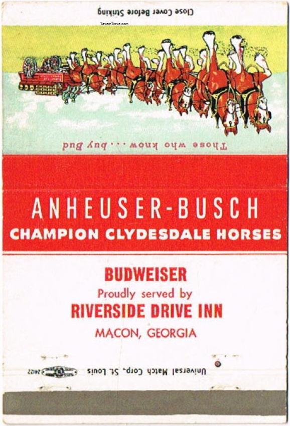 Budweiser Champion Clydesdale Horses
