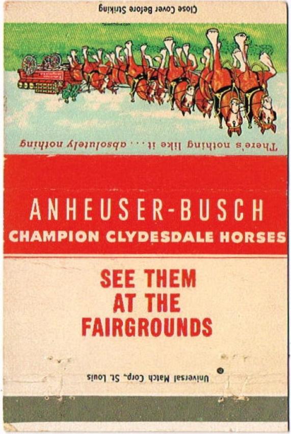 Budweiser Champion Clydesdale Horses