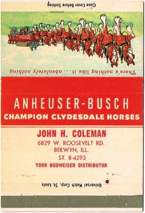 Budweiser Champion Clydesdale Horses