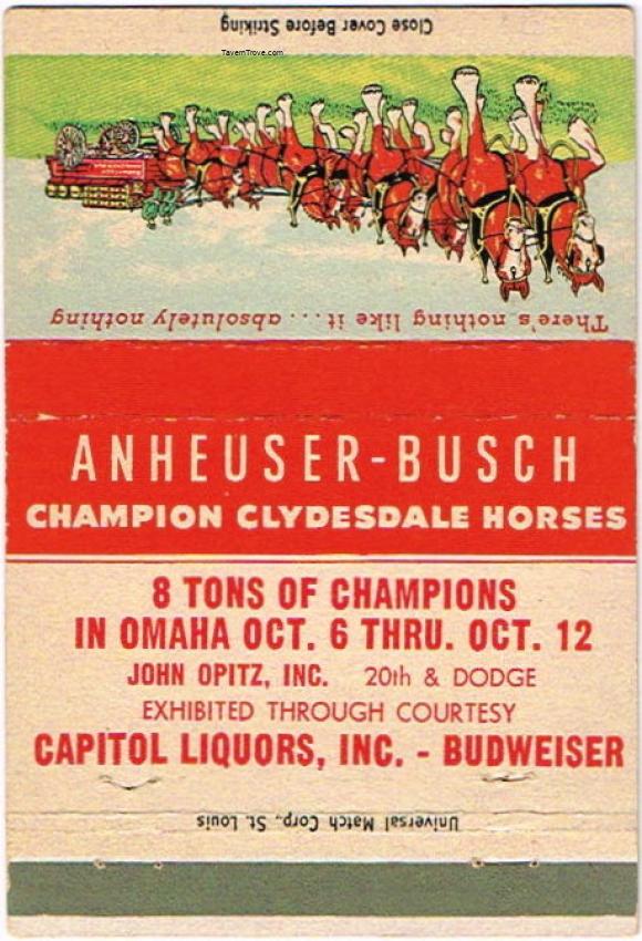 Budweiser Champion Clydesdale Horses