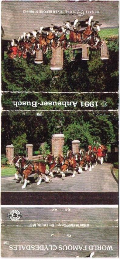 Budweiser Clydesdales