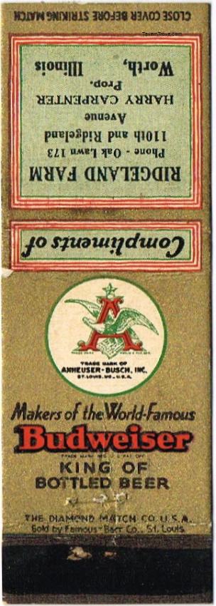 Budweiser Lager Beer