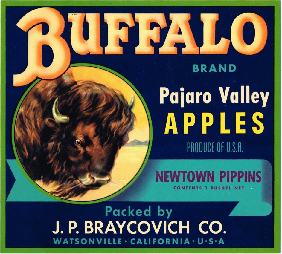 Buffalo Pajaro Apples Fruit Crate Label Braycovich Watsonville California