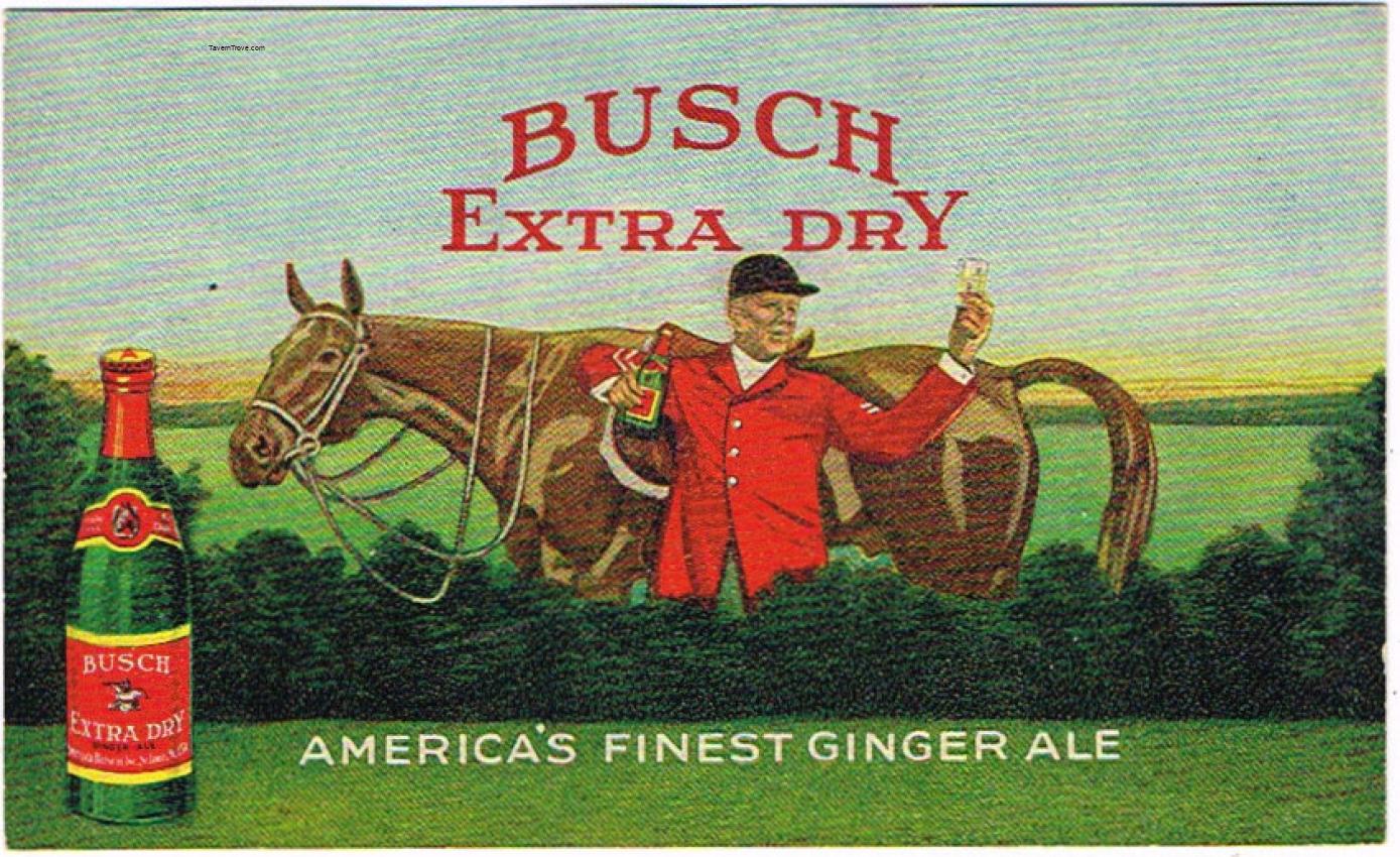 Busch Extra Dry Ginger Ale