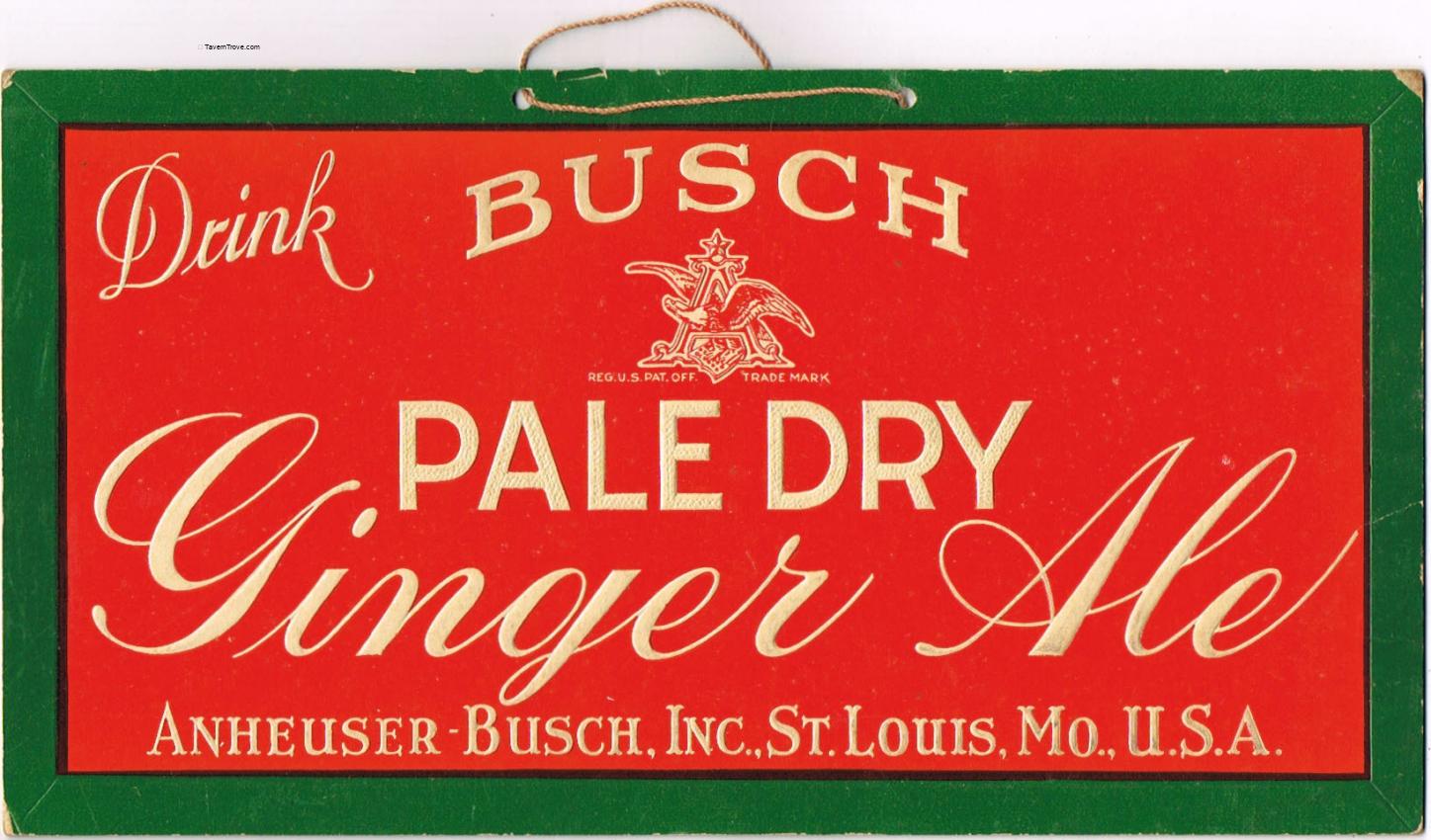 Busch Pale Dry Ginger Ale