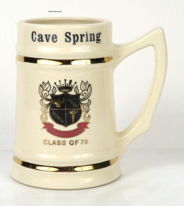 Cave Spring High School Roanoke Virginia