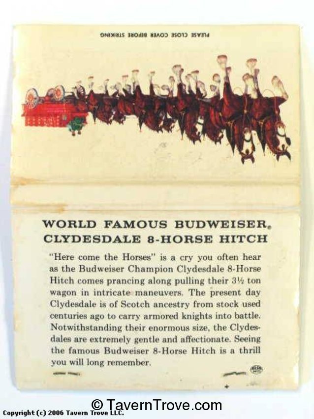Clydesdale 8 Horse Hitch