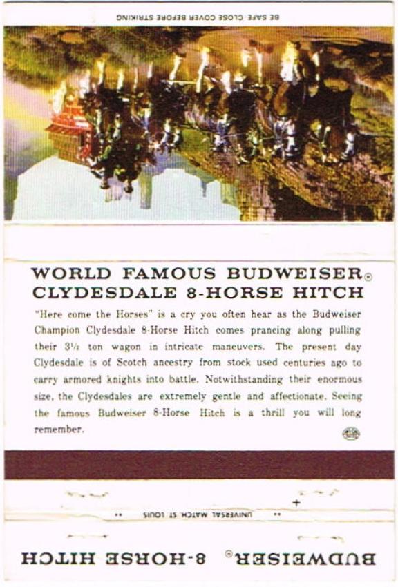 Clydesdale 8 Horse Hitch