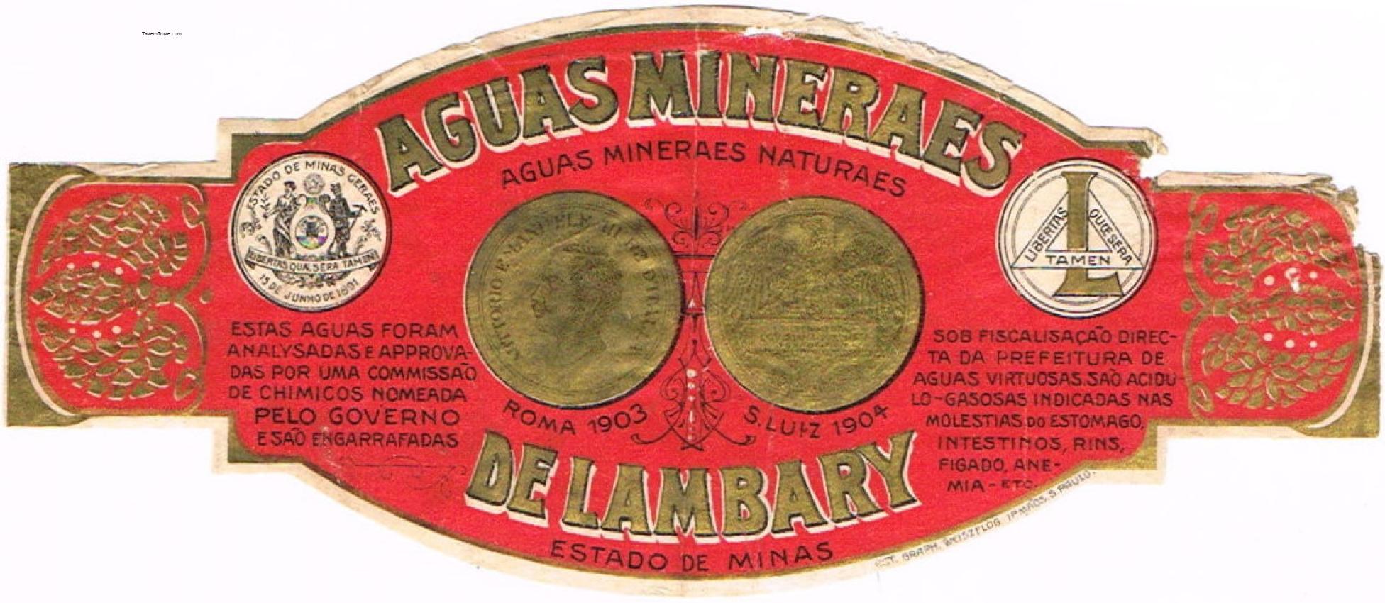 De Lambary Mineral Water Brazil