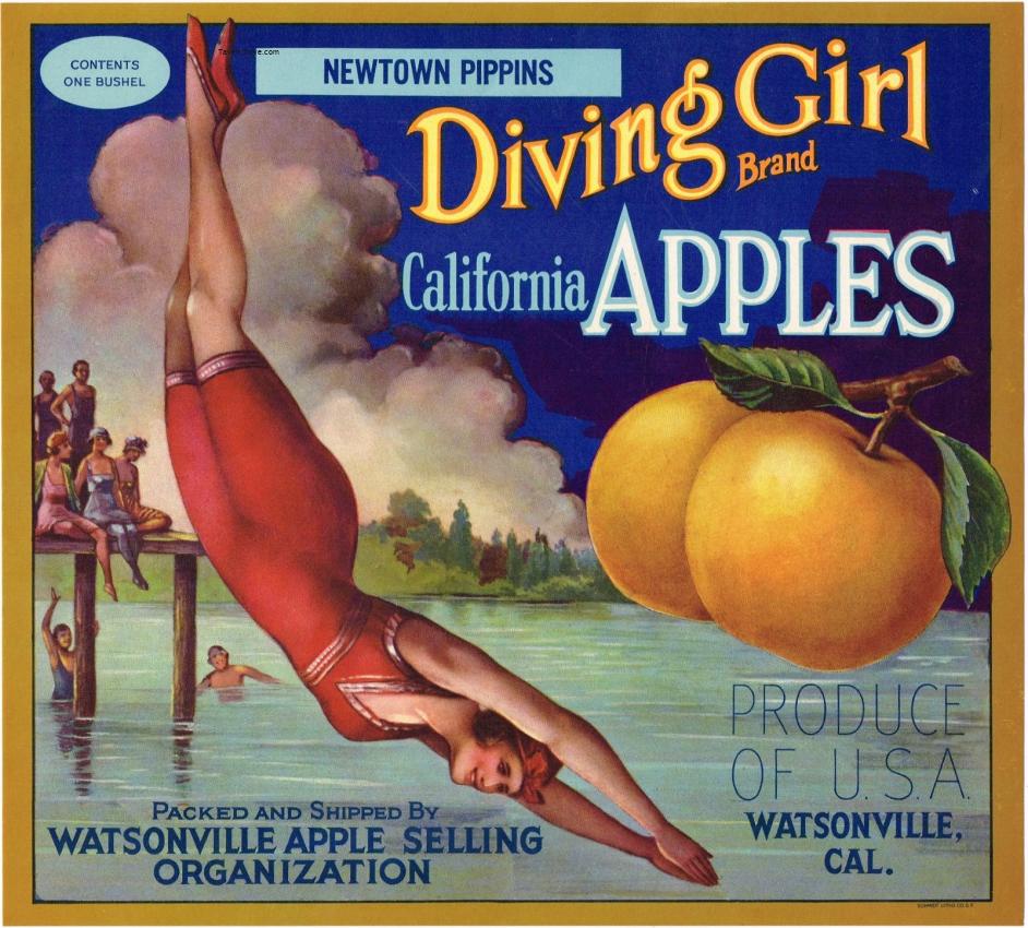 Diving Girl Apples Fruit Crate Label Watsonville California