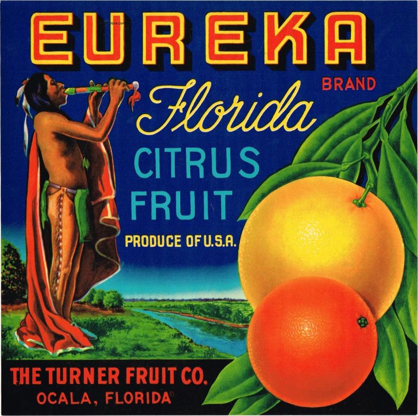 Eureka Citrus Fruit Crate Label Ocala Florida