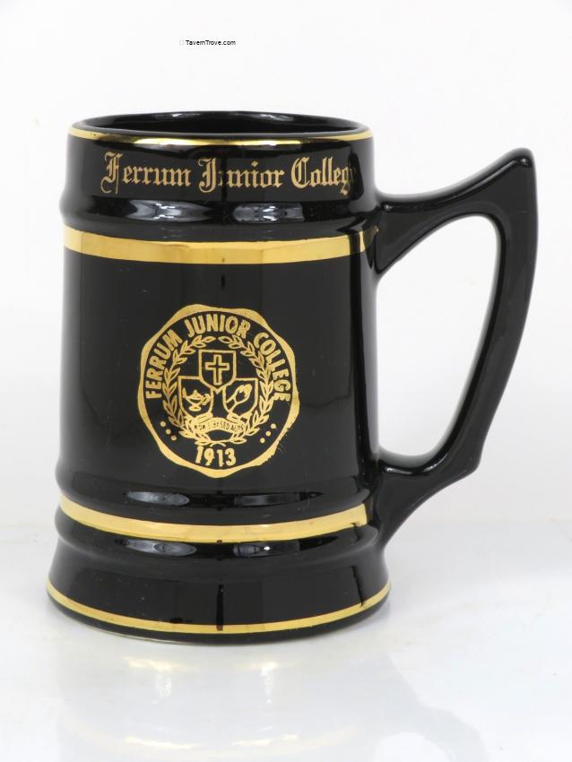 Ferrum Junior College Ferrum Virginia