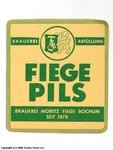 Fiege Pils