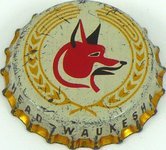 Fox Head Beer