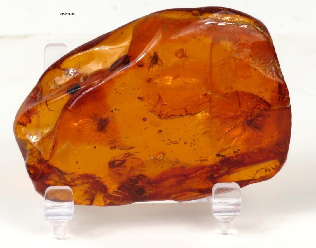 Large Petrified Amber Specimen with Insect and Hair Inclusions