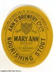 Mary Ann Nourishing Stout