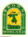 Morland Brown Ale