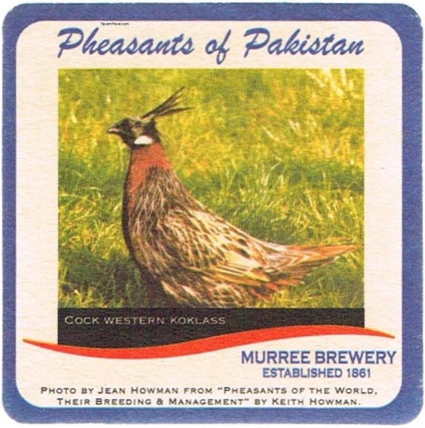Murree Brewery Cock Western Koklass Pheasant