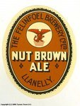 Nut Brown Ale