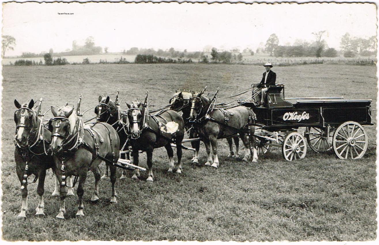 O'Keefe Brewery Six Horse Hitch