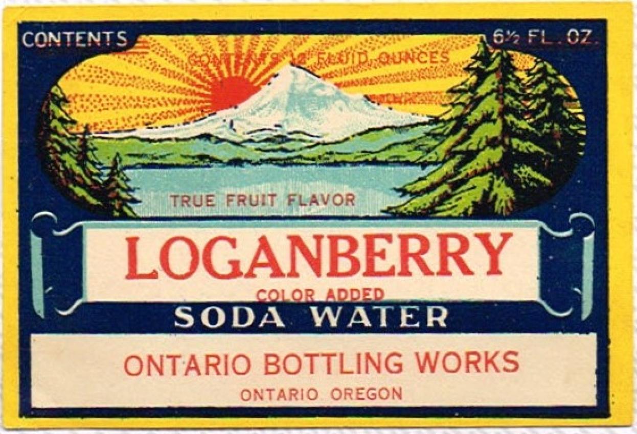 Ontario Bottling Works Loganberry Soda Water Oregon 12oz