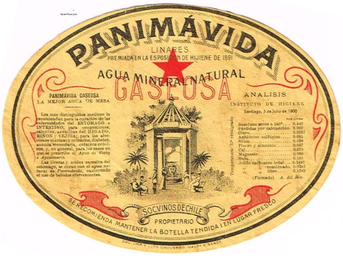 Panimavida Mineral Water Chile
