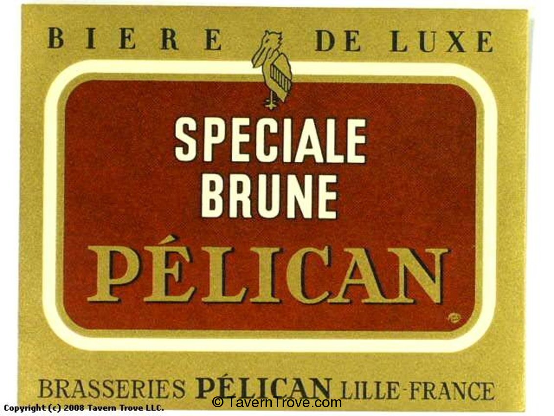 Pélican Speciale Brune