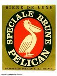 Pélican Speciale Brune
