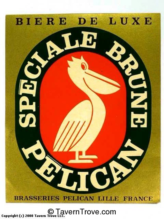 Pélican Speciale Brune