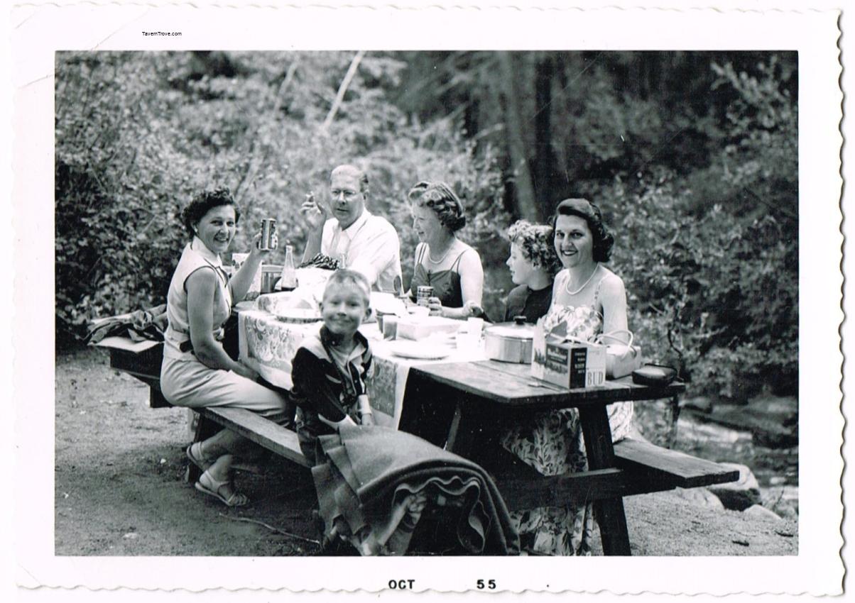 Picnic With Budweiser Beer