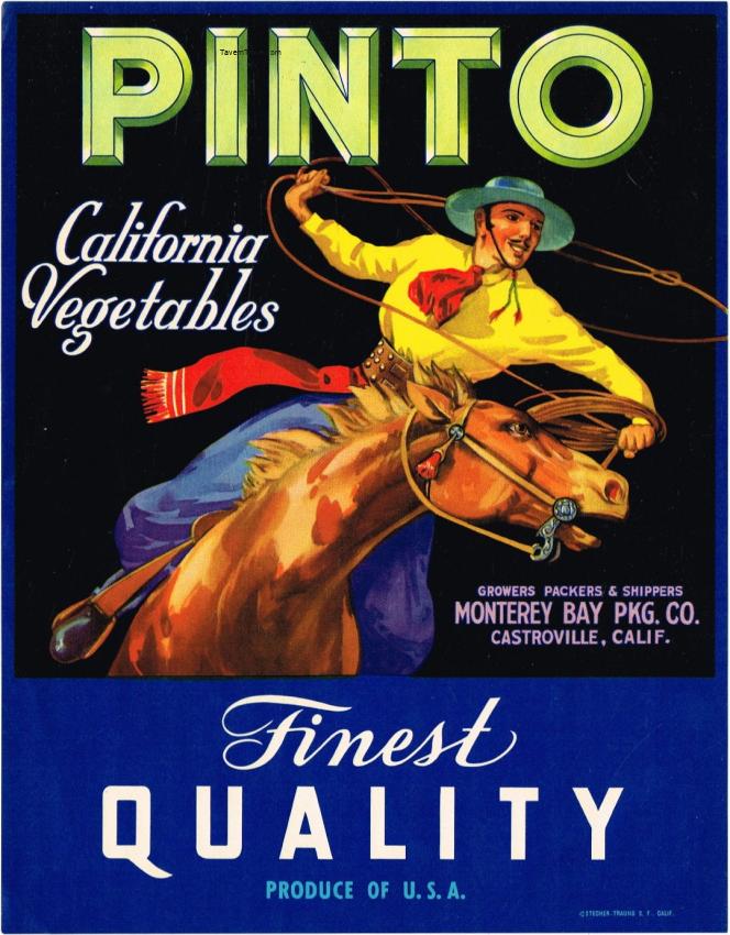 Pinto Vegetables Fruit Crate Label Castroville California